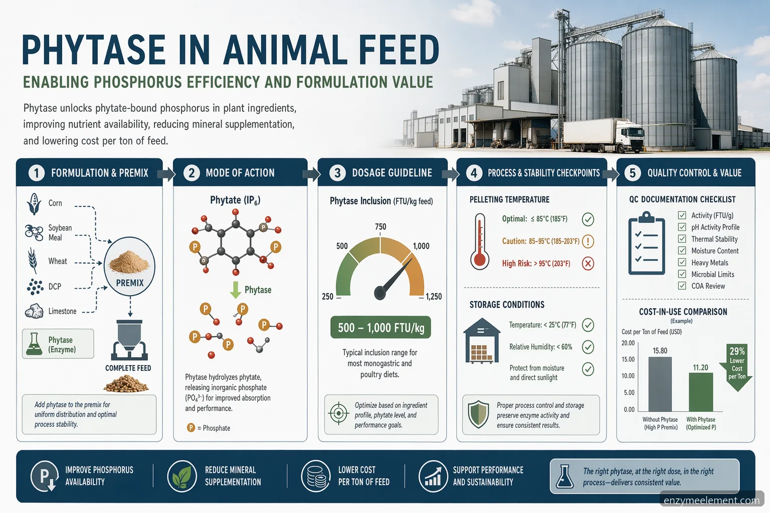 animal feed phytase market formulation infographic showing enzyme benefits, dosing, processing, QC, and ROI