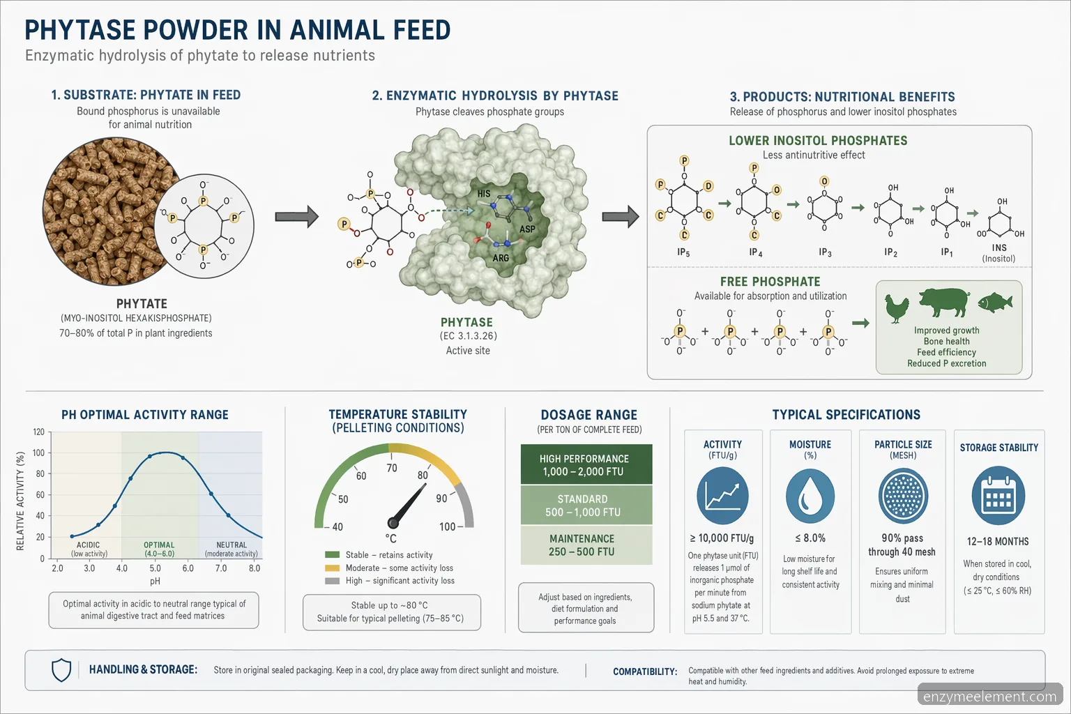 Diagram for phytase powder til animal feed med phytathydrolyse, pH-område, temperatur og frigivet fosfor